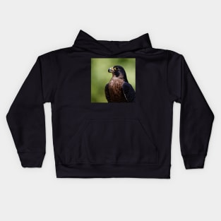 Peregrine Falcon Kids Hoodie